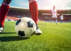 美因未缴纳,会费被剥夺,世界反兴奋,国际足联2026世界杯投注平台,世界杯投注,2026世界杯,足球投注平台,世界杯赛程