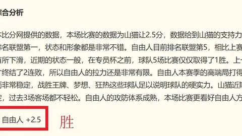 国际足联2026世，足球投注平台，界杯投注平台 095800